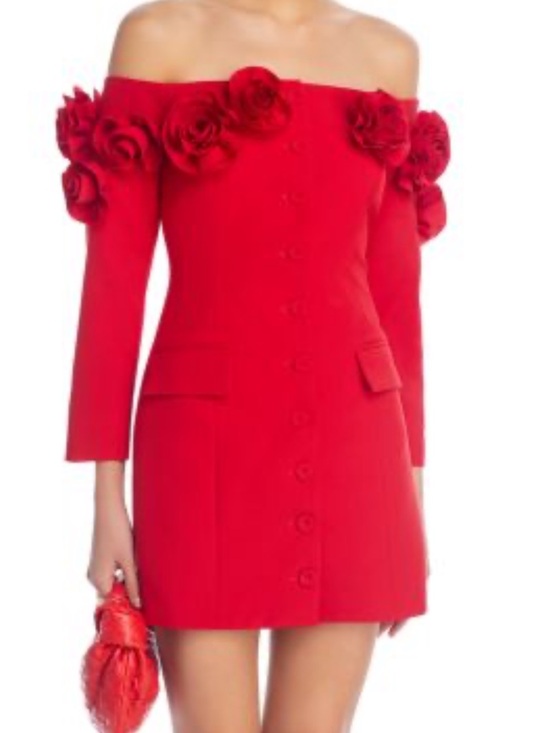 Lucy Paris Dresses & Skirts - Lucy Paris Red Off-Shoulder Long Sleeve Dress with Floral Appliqué
